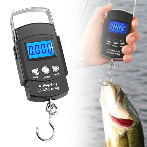 Fischwaage anglerwaage - fischwaage,